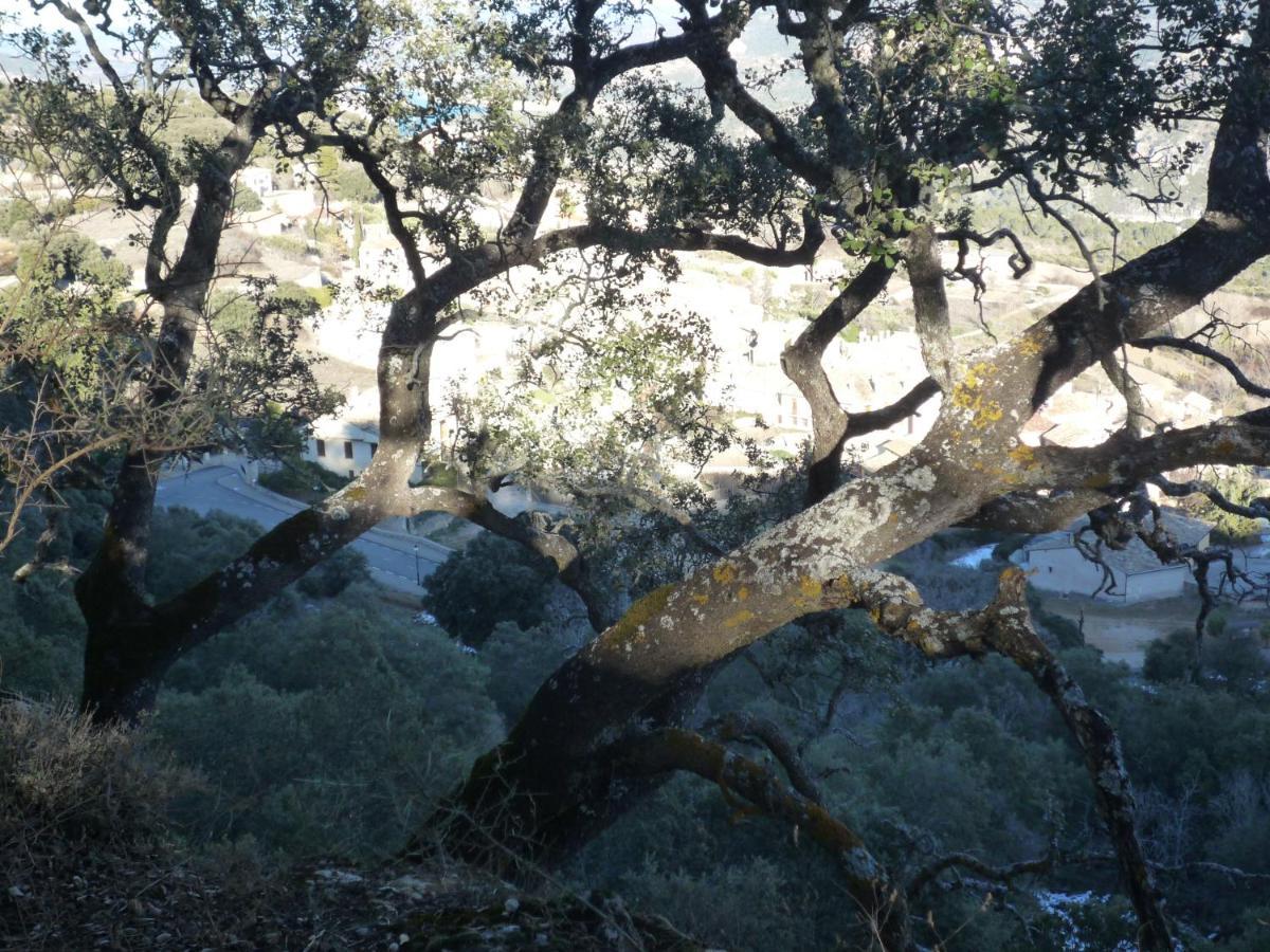 Casa Rural El Molino De Alocén 外观 照片